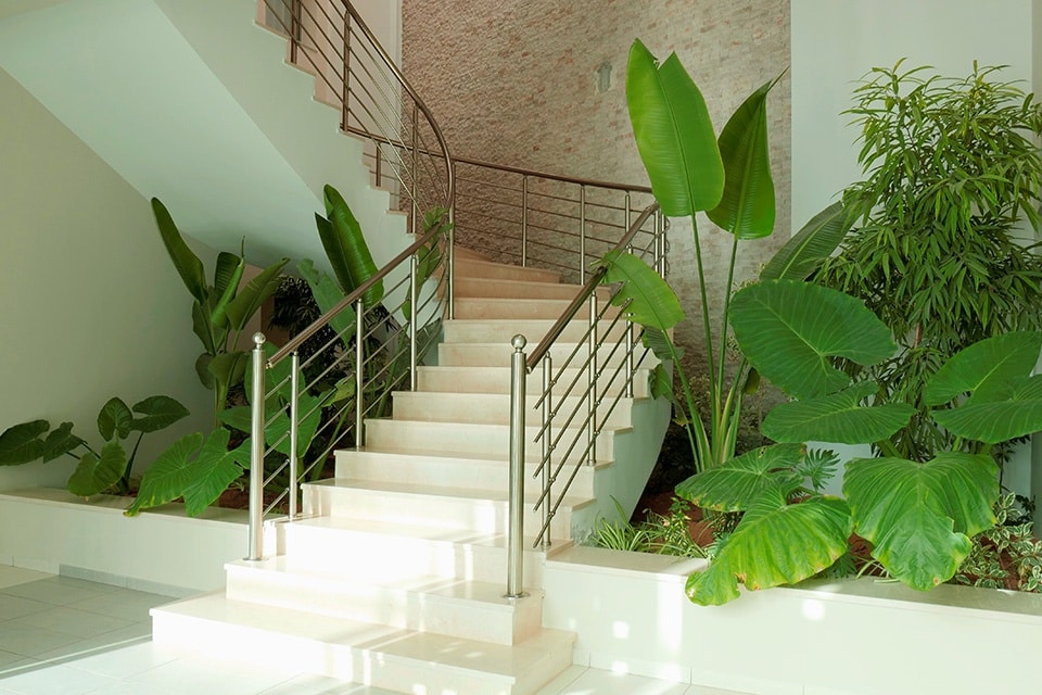 escalier
